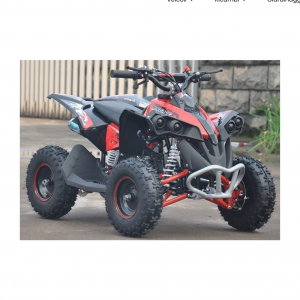 Screenshot 2025-02-06 at 09-07-04 MINIATV MINIQUAD QUAD RENEGADE - 49cc easy start ruote 6 carburatore 14mm